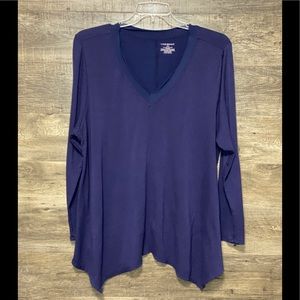 Blue 22/24 Lane Bryant V-Neck Long Sleeve Sweater